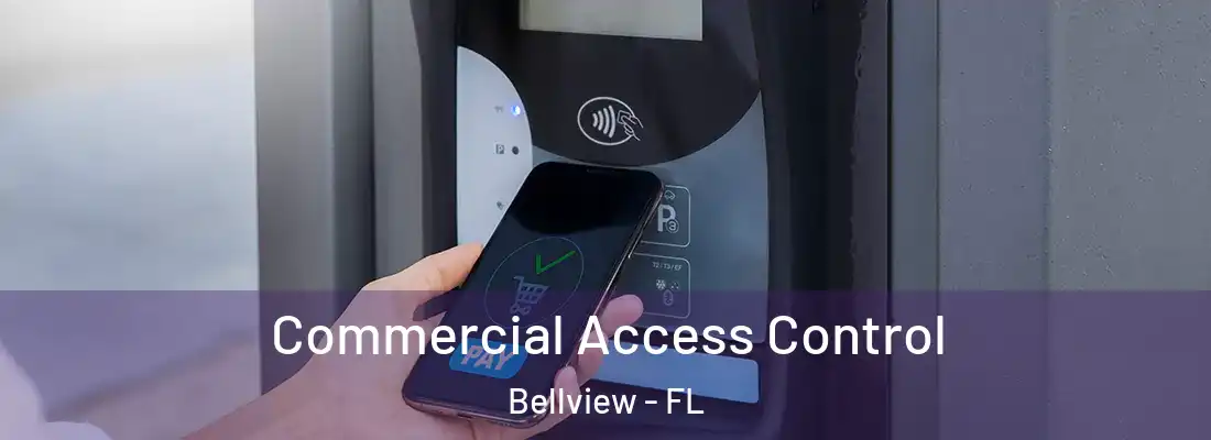 Commercial Access Control Bellview - FL