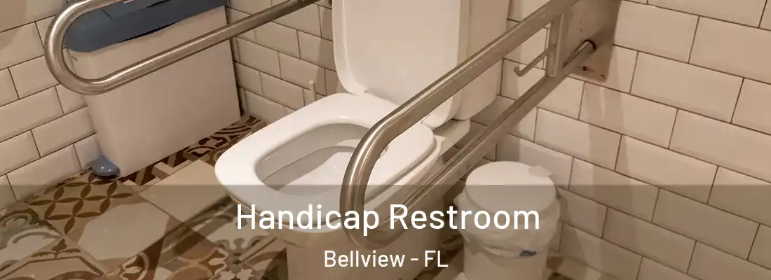  Handicap Restroom Bellview - FL