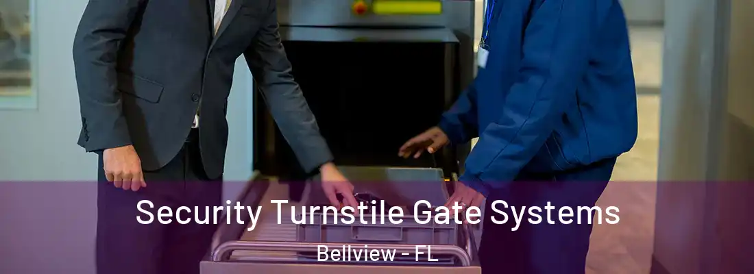  Security Turnstile Gate Systems Bellview - FL